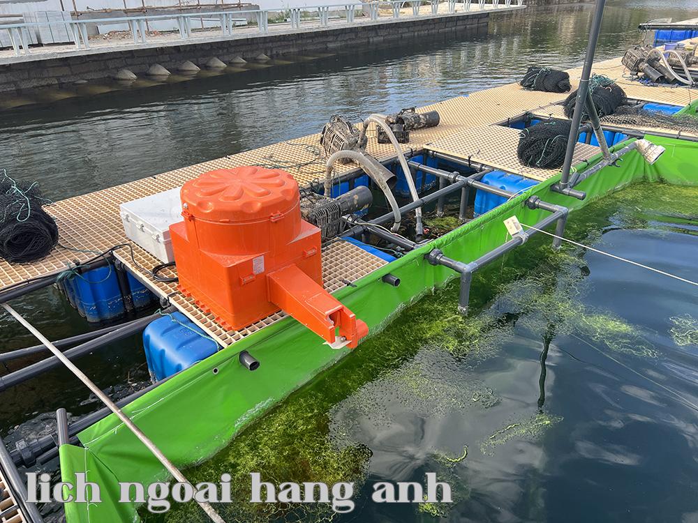 Thiết bị phun nước & cho ăn tự động làm sạch bùn