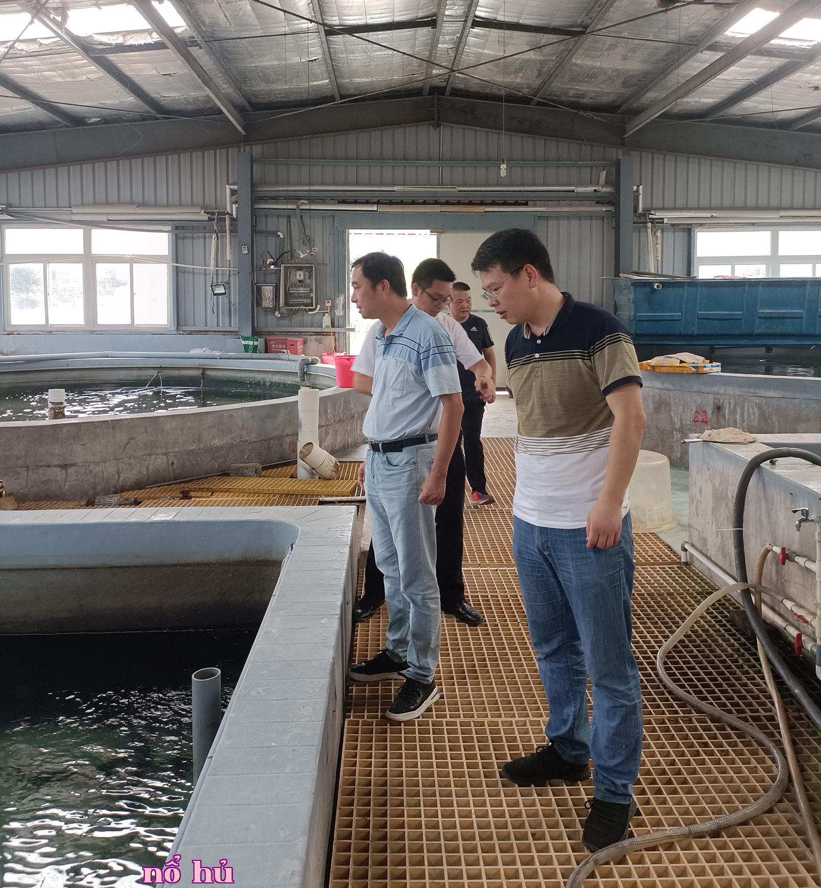 Công ty Công nghệ Xiamen Sterful