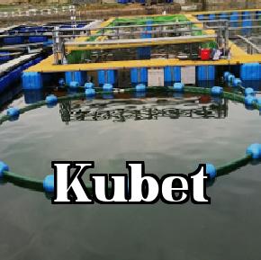 Thiết bị phun nước & cho ăn tự động làm sạch bùn